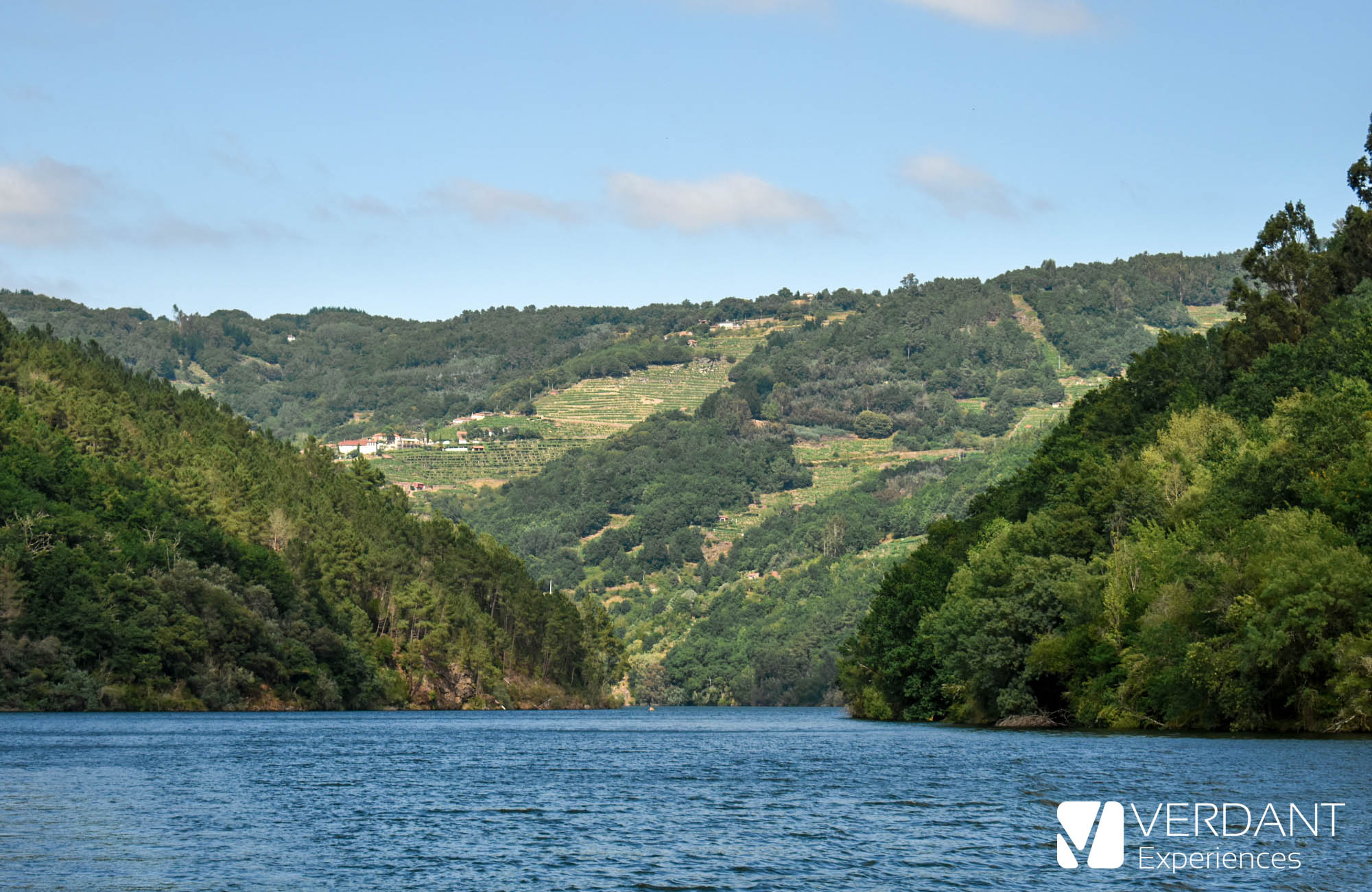 Miño river