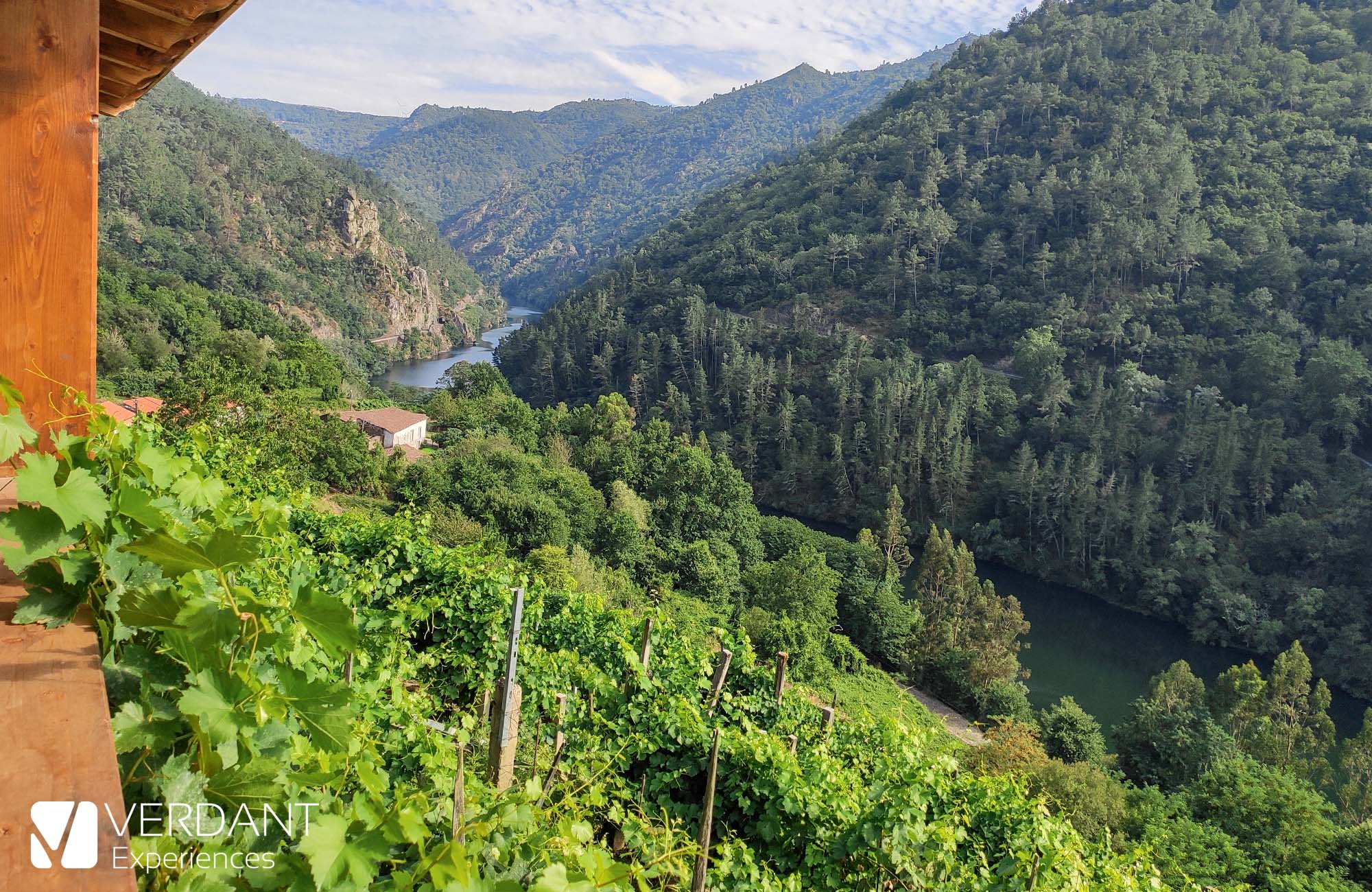 Ribeira Sacra winery