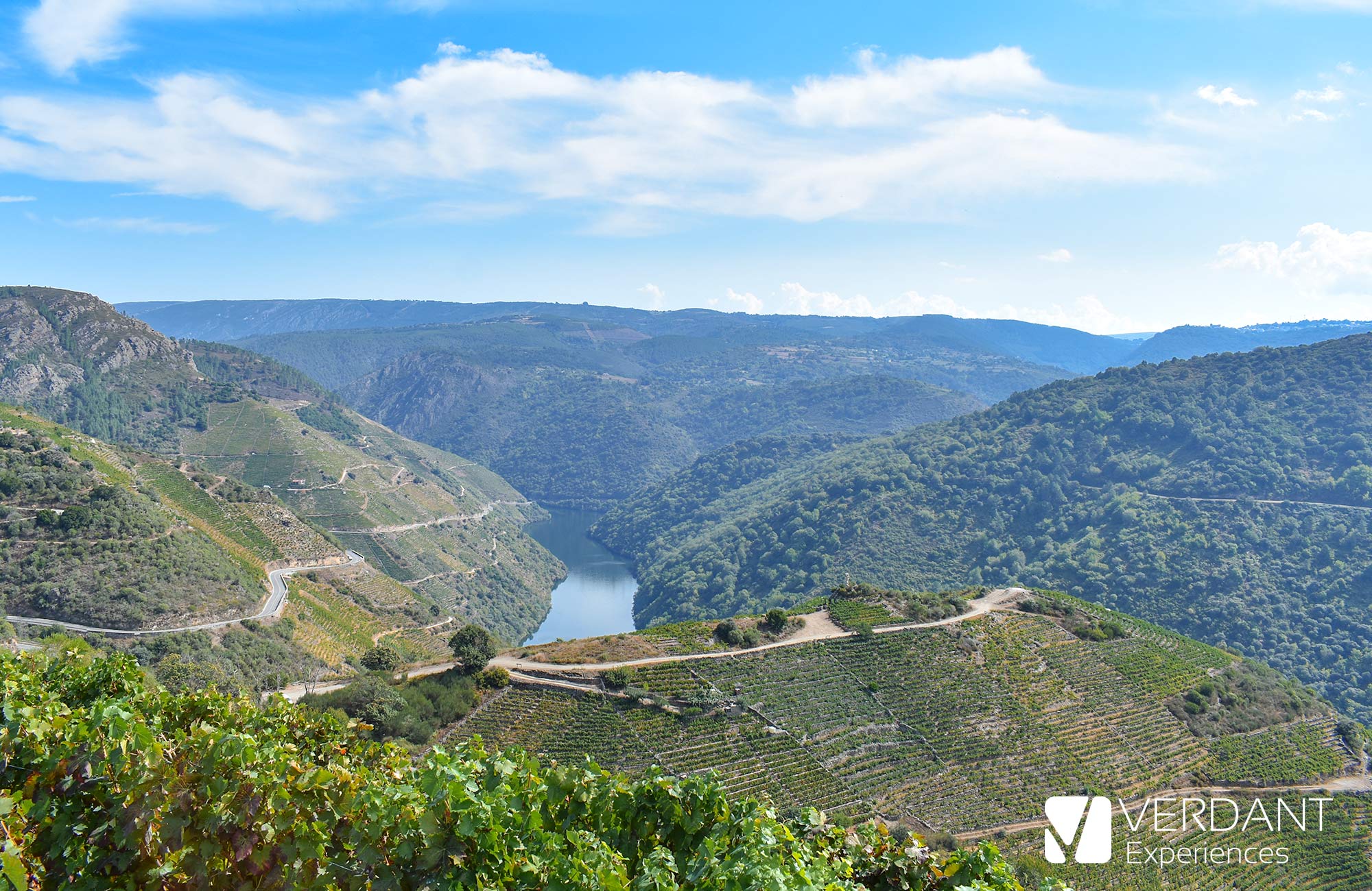 Viewpoint Ribeira Sacra Vineyards