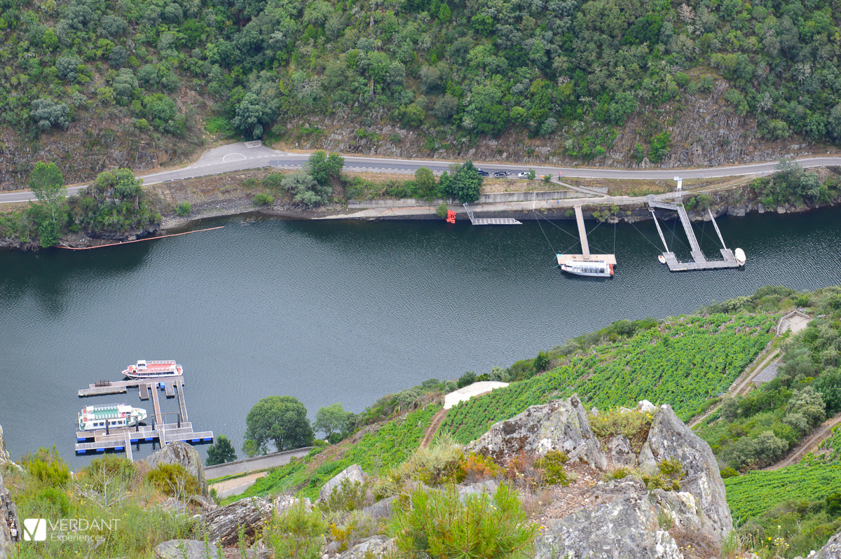 catamaran de santo estevo