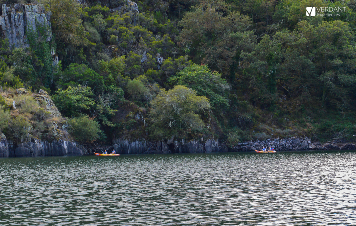 excursion catamaran ribeira sacra