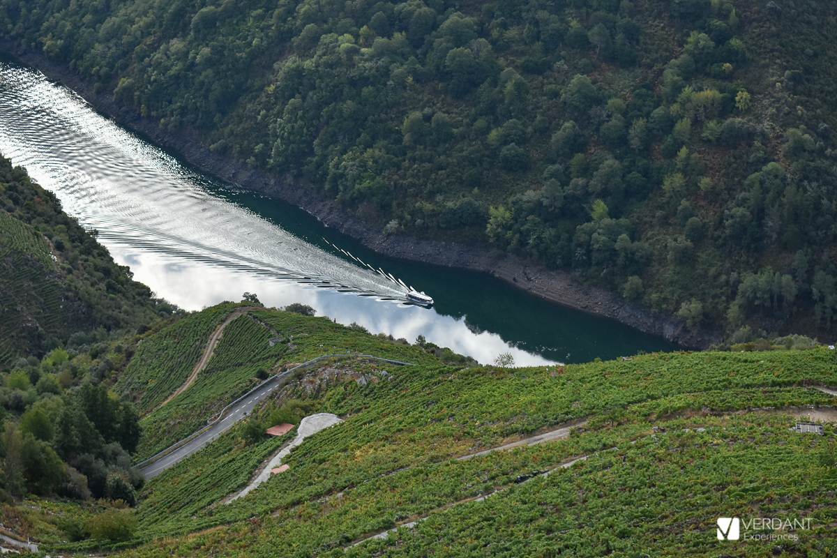 reserva catamaran ribeira sacra