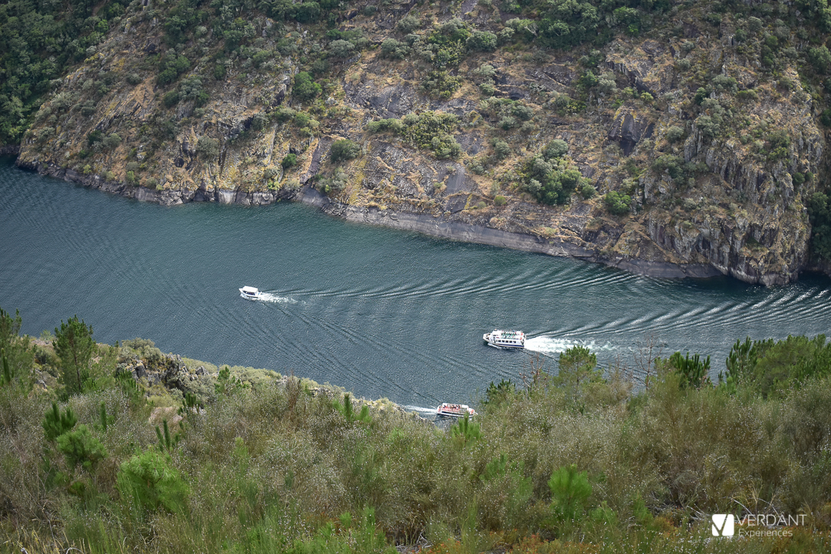 Catamaranes en Ribeira Sacra: El Cañón del Sil y el río Miño 2024