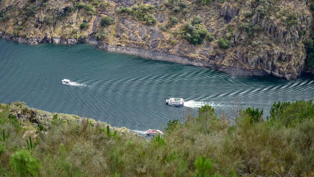 Catamaranes en Ribeira Sacra